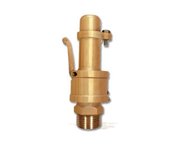 Safety Valve